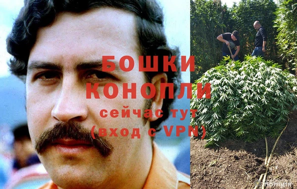 спайс Елизово