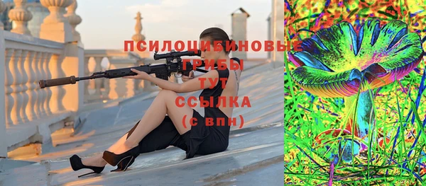 спайс Елизово