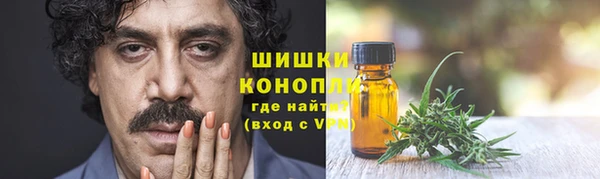 дурь Елабуга