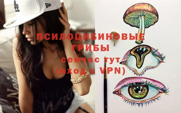 спайс Елизово