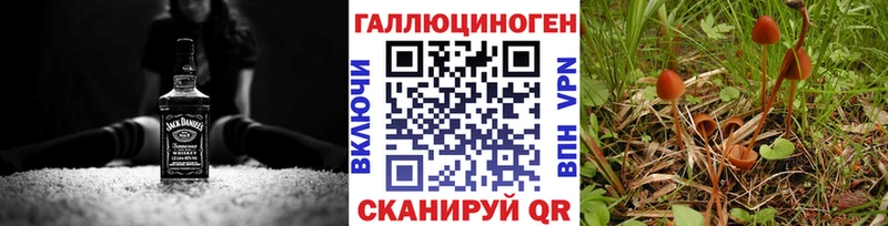 Купить  Терек  Псилоцибиновые грибы MAGIC MUSHROOMS 